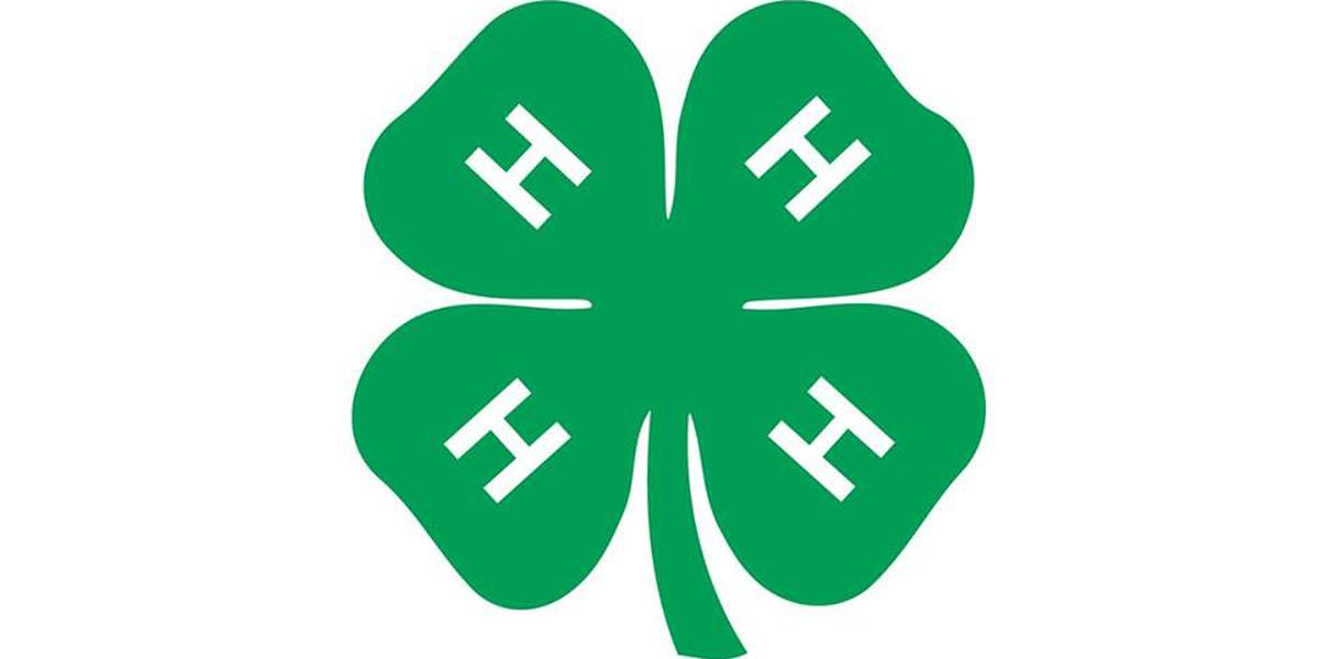 Midland County 4H
